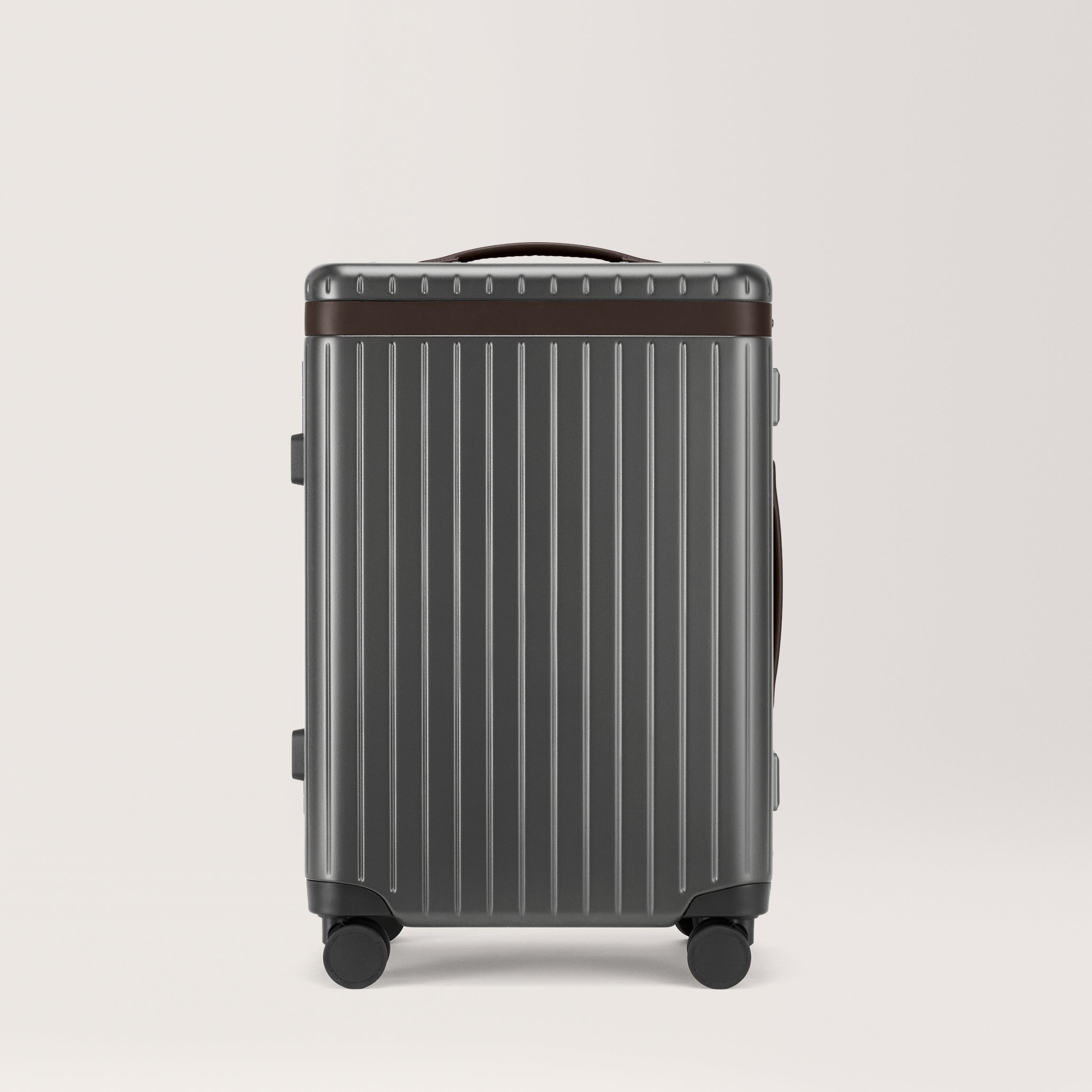 The Large Carry-on Grey / Chocolate 