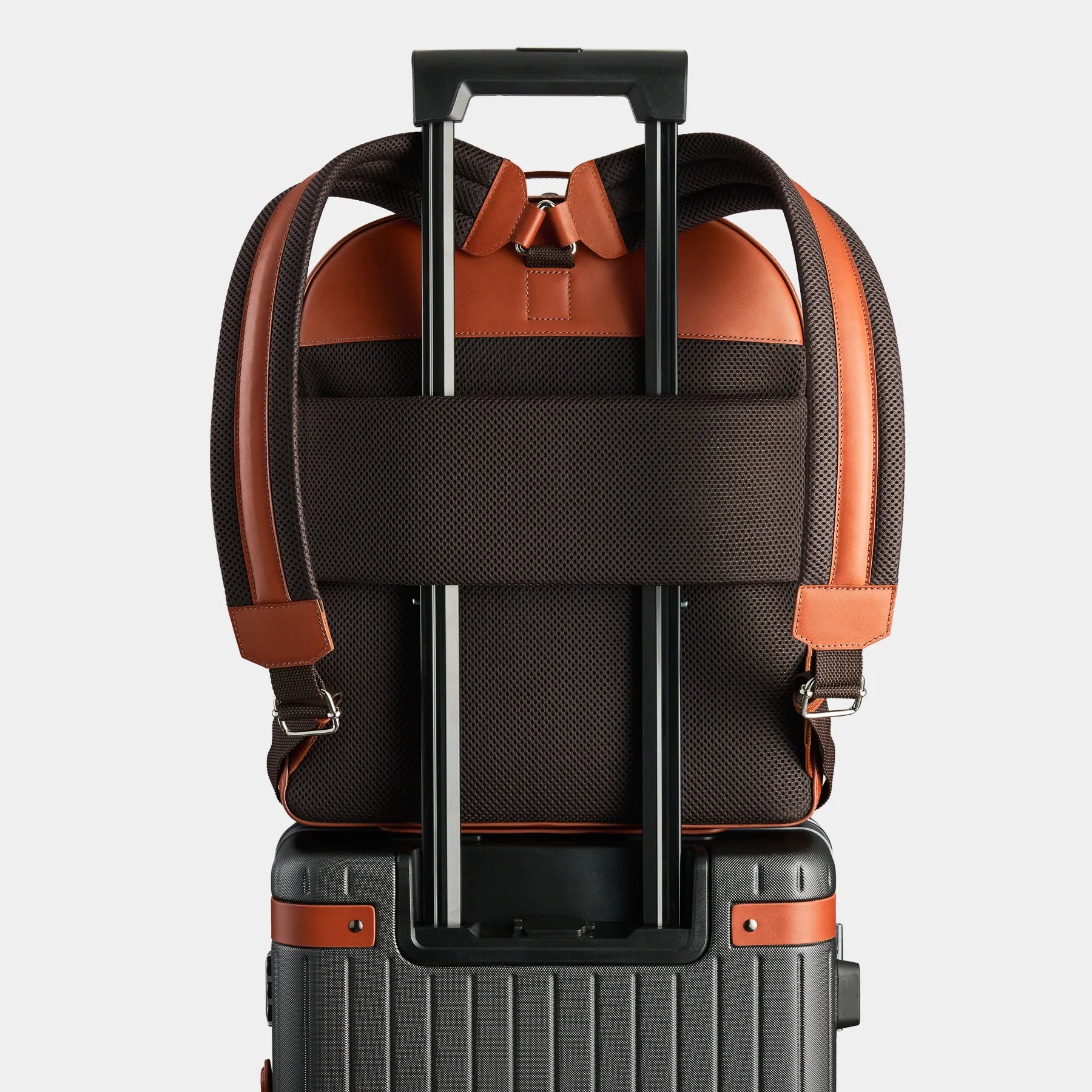 Bowen - Return cognac